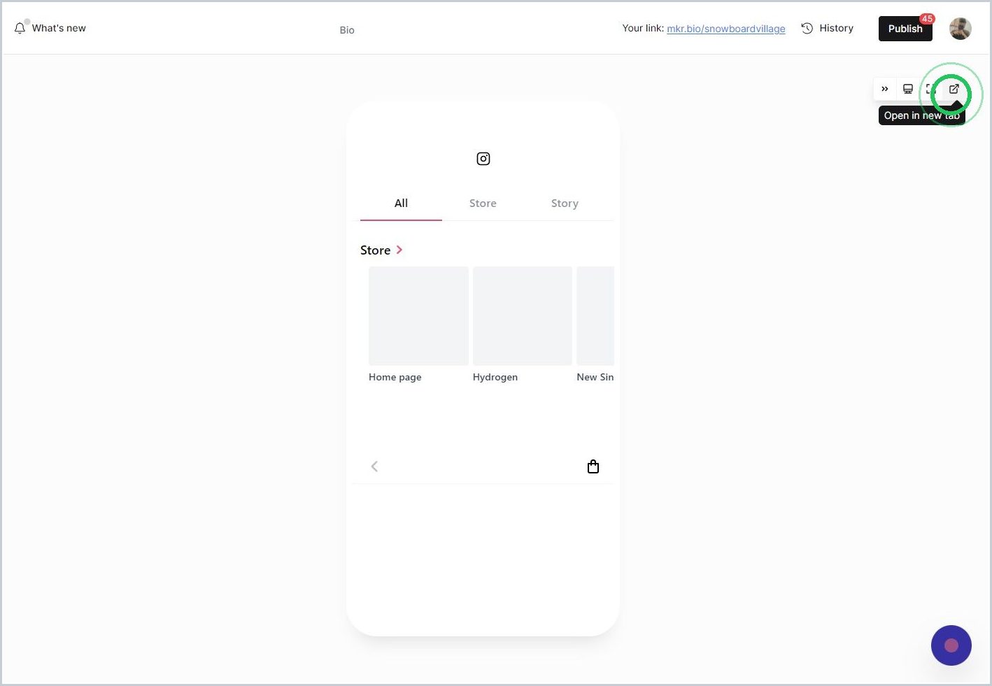 Getting to know the live preview controls in Mkr.Bio — step 7